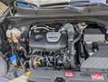 Kia Sportage SPORTAGE 1.6T Black Edition 2021 4WD AHK 46tKM! Schwarz - thumbnail 18