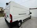 Fiat Ducato furgone - thumbnail 5