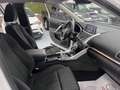Mitsubishi Eclipse Cross Eclipse Cross 1.5 turbo 4WD aut. Intense Bianco - thumbnail 8
