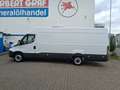 Iveco Daily 33 S 16SA8 V Weiß - thumbnail 19