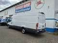 Iveco Daily 33 S 16SA8 V Weiß - thumbnail 18