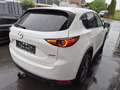Mazda CX-5 CD184 AWD Revolution Top Aut. Top Ausstattung Weiß - thumbnail 5