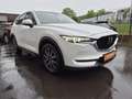 Mazda CX-5 CD184 AWD Revolution Top Aut. Top Ausstattung Weiß - thumbnail 4