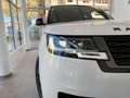 Land Rover Range Rover Autobiography P550e/w-sw/Shadow/22 Blanc - thumbnail 3