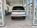 Land Rover Range Rover Autobiography P550e/w-sw/Shadow/22 Blanc - thumbnail 6