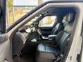 Land Rover Range Rover Autobiography P550e/w-sw/Shadow/22 Blanc - thumbnail 10