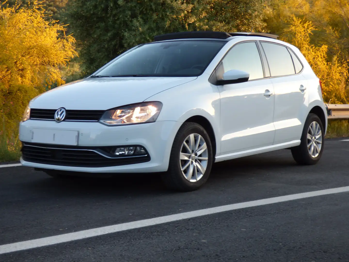 Volkswagen Polo Polo 1.4 TDI BMT Sport 66kW Sport Blanco - 2