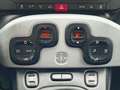 Fiat Panda 1.0 FireFly Hybrid City Cross - Unicoproprietario Blau - thumbnail 13