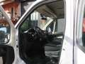 Fiat Ducato CASSONE CASSONATO 35 MH1 DOP. CAB.115CV 2.0MJT Bianco - thumbnail 5