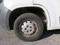 Fiat Ducato CASSONE CASSONATO 35 MH1 DOP. CAB.115CV 2.0MJT Bianco - thumbnail 13