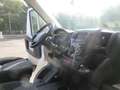 Fiat Ducato CASSONE CASSONATO 35 MH1 DOP. CAB.115CV 2.0MJT Bianco - thumbnail 10