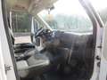 Fiat Ducato CASSONE CASSONATO 35 MH1 DOP. CAB.115CV 2.0MJT Bianco - thumbnail 9
