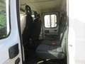 Fiat Ducato CASSONE CASSONATO 35 MH1 DOP. CAB.115CV 2.0MJT Bianco - thumbnail 6