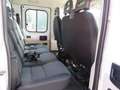 Fiat Ducato CASSONE CASSONATO 35 MH1 DOP. CAB.115CV 2.0MJT Bianco - thumbnail 8