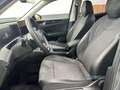 Volkswagen Tiguan Life 1.5eTSI 110kW DSG AHK Area View Grau - thumbnail 9