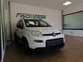 Fiat New Panda 1.0 FireFly S&S Hybrid City Life Bianco - thumbnail 3