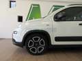 Fiat New Panda 1.0 FireFly S&S Hybrid City Life Bianco - thumbnail 4