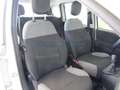 Fiat New Panda 1.0 FireFly S&S Hybrid City Life Bianco - thumbnail 11