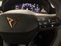 CUPRA Leon 1.5 ETSI DSG 110Kw Rojo - thumbnail 11