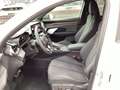 CUPRA Terramar VZ 1.5 e-HYBRID (272 PS) 6-Gang-DSG Wit - thumbnail 6