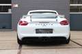 Porsche Cayman GT4 3.8 Clubsport | Sport Chrono | PCM | New Wit - thumbnail 6