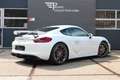 Porsche Cayman GT4 3.8 Clubsport | Sport Chrono | PCM | New Wit - thumbnail 2