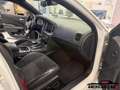 Dodge Charger Scatpack 6.4 V8, Carte grise Française ! Weiß - thumbnail 13