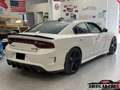 Dodge Charger Scatpack 6.4 V8 / Homologué et Malus payé Weiß - thumbnail 3