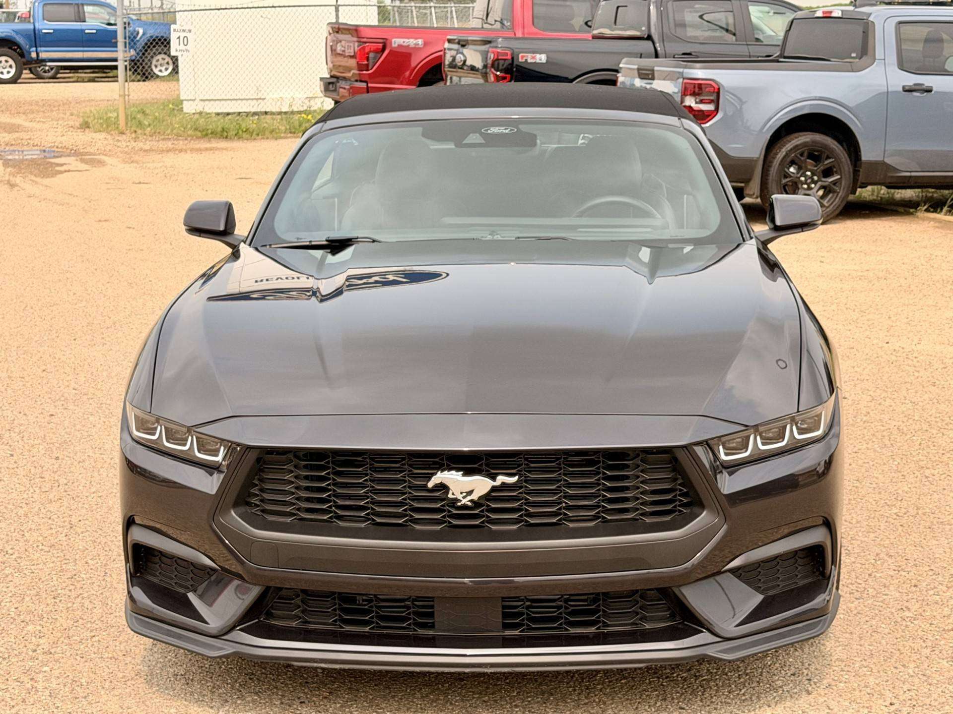 2024 Ford Mustang Convertible