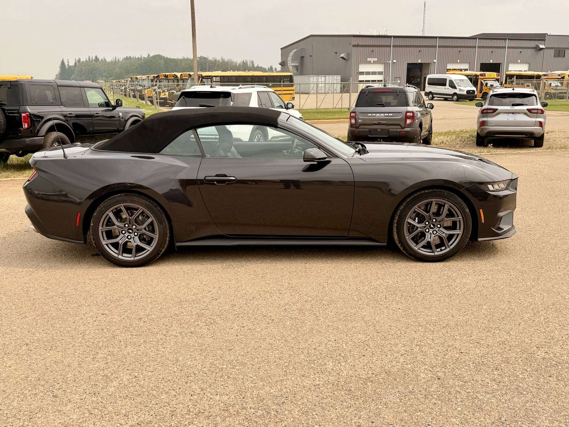2024 Ford Mustang Convertible