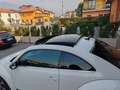 Volkswagen Maggiolino 1.4 Tsi Sport 160cv DSG TETTO APRIBILE Blanc - thumbnail 5