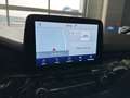 Ford Kuga 2,0 EcoBlue Hybrid ST-Line Aut. Blau - thumbnail 7