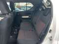 Suzuki Ignis 1.2 Comfort+ 4x4 Navi* RFK* SH* AHK Weiß - thumbnail 11