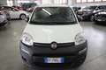 Fiat Panda 1.2 GPL Pop Van 2 posti + IVA 22% Bianco - thumbnail 1