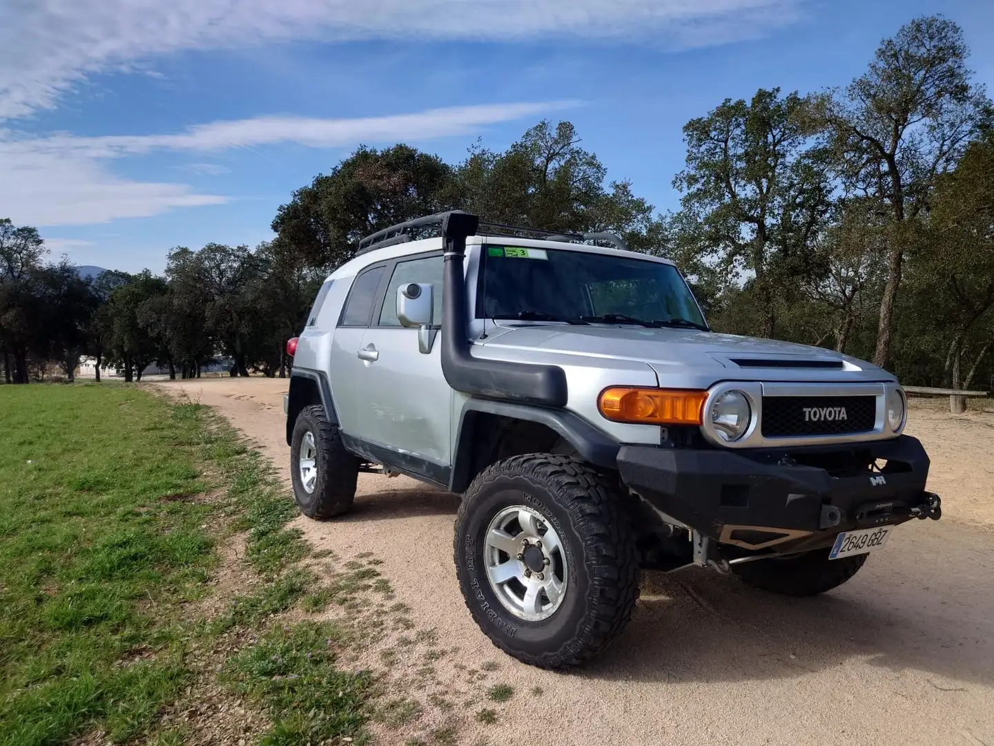 Toyota FJ Cruiser 4.0 V6 Argintiu - 1