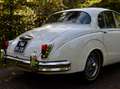 Jaguar MK II MK II 1965 3.8 Blanco - thumbnail 10