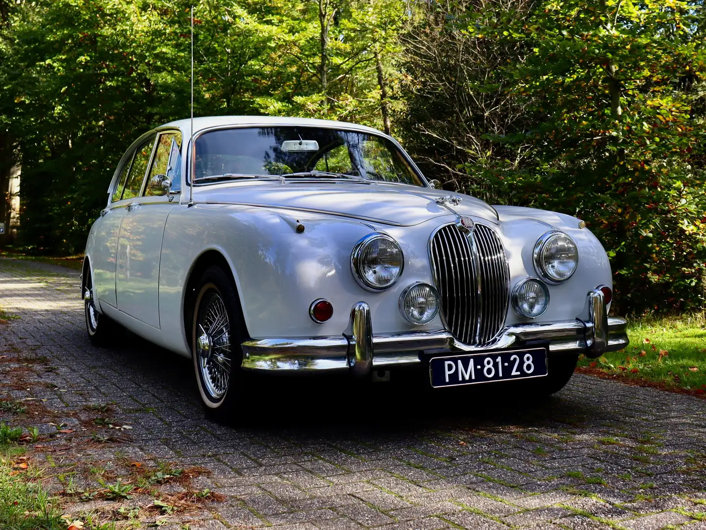 Jaguar MK II MK II 1965 3.8 Blanco - 2