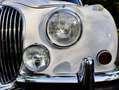 Jaguar MK II MK II 1965 3.8 Blanco - thumbnail 16