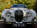 Jaguar MK II MK II 1965 3.8 Blanco - thumbnail 3