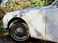 Jaguar MK II MK II 1965 3.8 Blanco - thumbnail 6