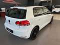 Volkswagen Golf Golf VI 2008 5p 1.6 tdi United - thumbnail 5