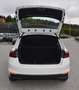 Skoda Fabia Fabia 1,0 LED TEMPOMAT KLIMA PARKS-HINTEN 1.Besitz Weiß - thumbnail 15
