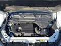 Land Rover Discovery Sport 2,0 TD4 150 4WD Pure Weiß - thumbnail 18