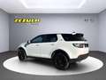 Land Rover Discovery Sport 2,0 TD4 150 4WD Pure Weiß - thumbnail 3