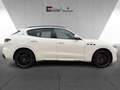 Maserati Levante TROFEO MY23 V8 580PS AWD Bianco&Nero Blanc - thumbnail 5