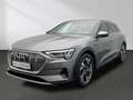 Audi e-tron advanced 50 quattro MMI LED AHK Memory Grau - thumbnail 14