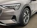 Audi e-tron advanced 50 quattro MMI LED AHK Memory Grau - thumbnail 6