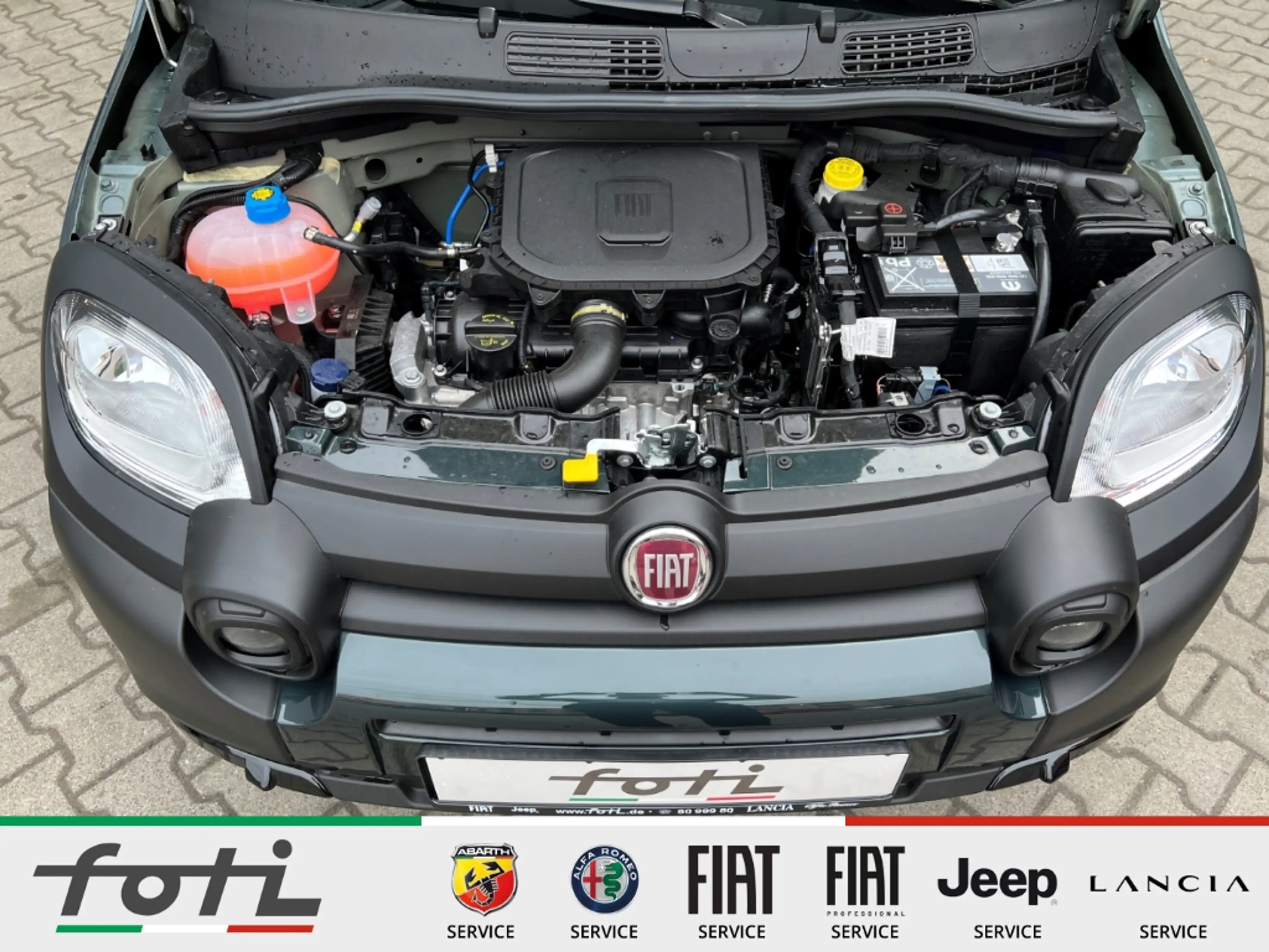 Fiat New Panda 1.0 GSE Hybrid 65PS Cross Car Play PDC — photo 10
