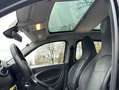 smart forFour forfour Basis 66kW Gris - thumbnail 14