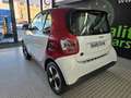 smart forTwo Coupé EQ Blanco - thumbnail 9